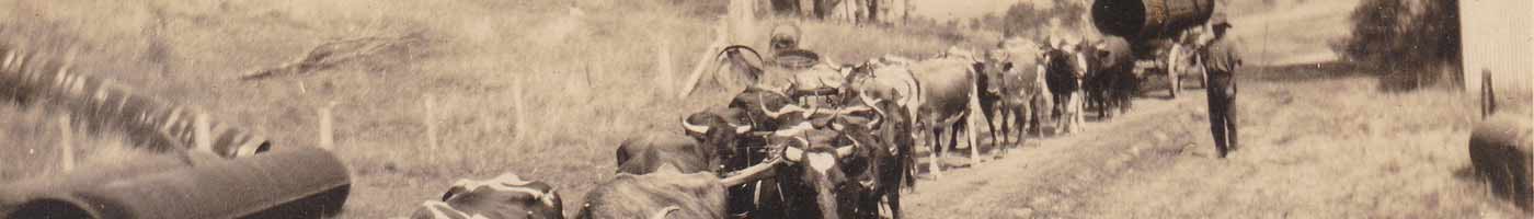 Mt Crosby Historical Society - Panorama